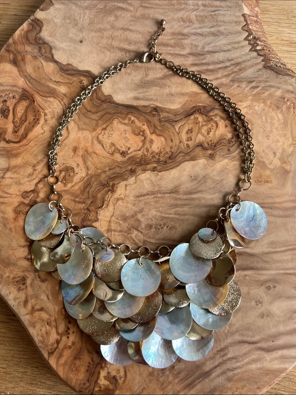 Iridescent Shell Disc Necklace with Gold Accents